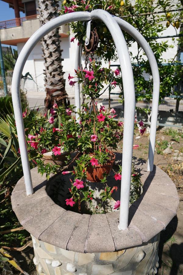 B&B Ciro ポンペイ エクステリア 写真